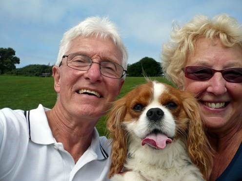 Deaf dog hears again after two years thanks to Paragon Veterinary Referrals