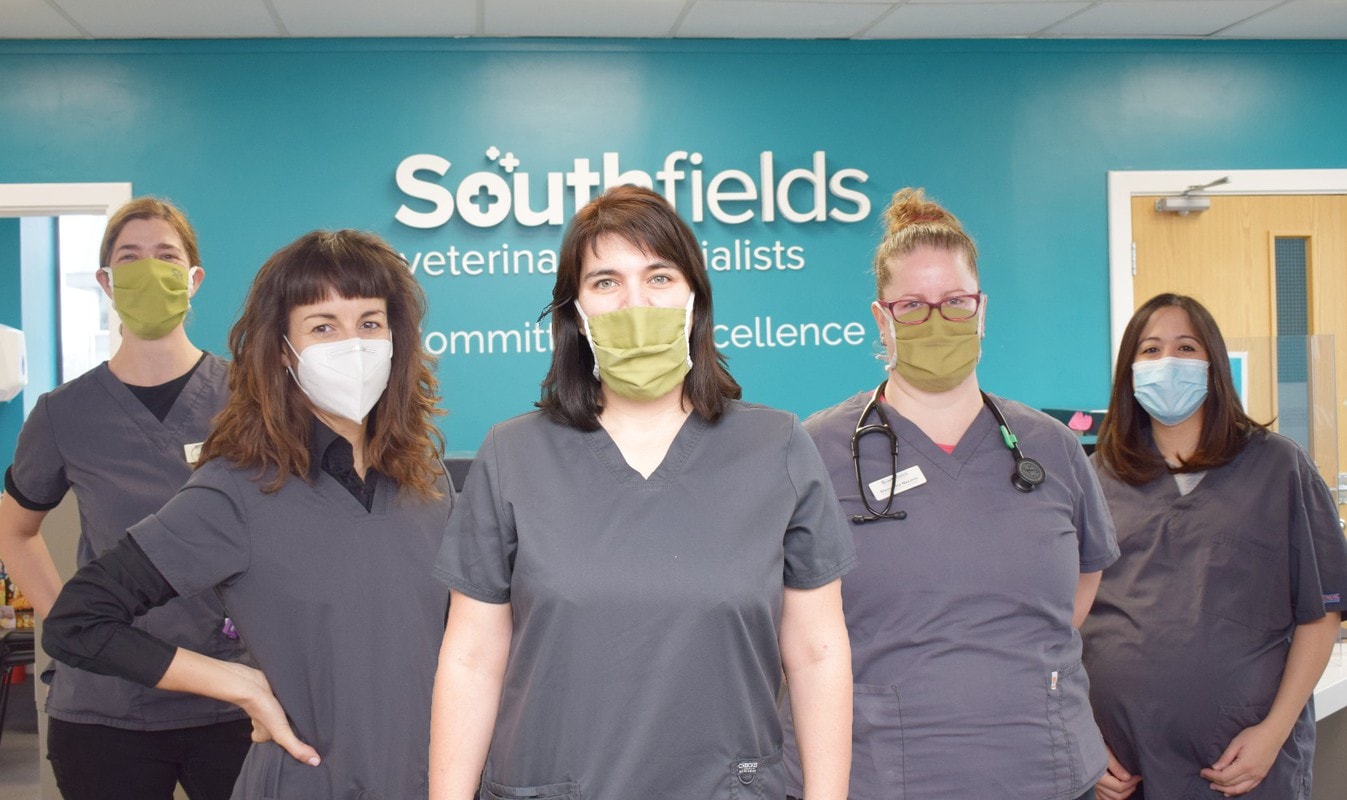 GIRL POWER! OUR FEMALE ‘DREAM TEAM’ ACHIEVES REMARKABLE SUCCESS