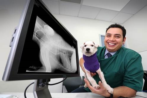 Internationally-acclaimed cardiologist joins Paragon