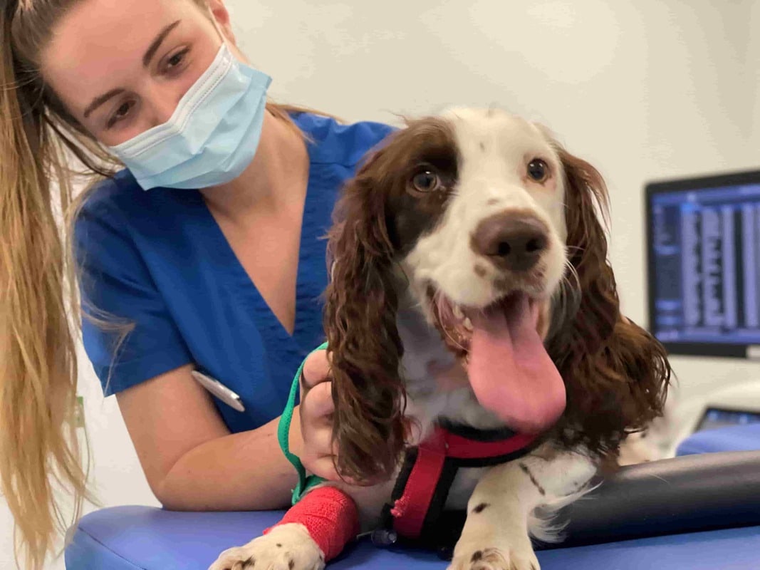 Specialist cardiology team at Paragon saluted after heart op hat-trick