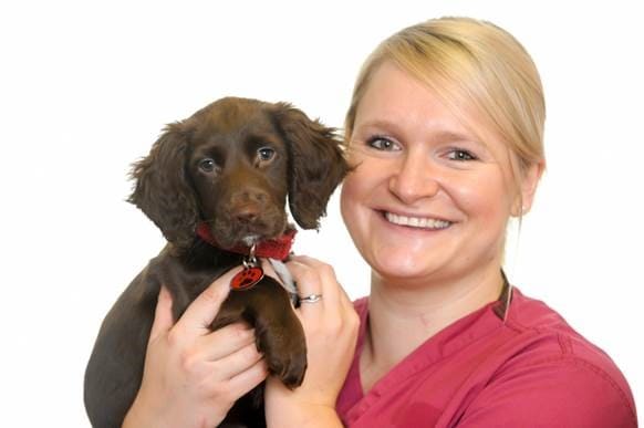 Trio of Vet Nurse Successes Mark VNAM at Kentdale Referrals