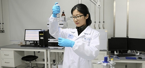 Bridging the gap between education and the real world