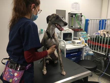 Lifesaving transfusion at Easctott highlights need for blood donors