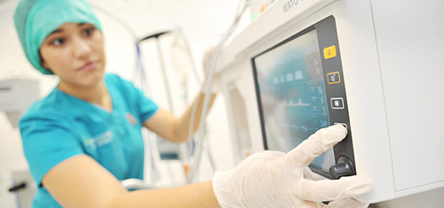 Linnaeus Graduate Development Programme