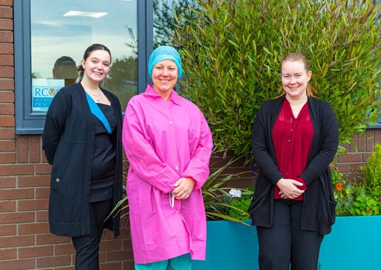 Southfields Going Green To Earn Bronze iiE Award