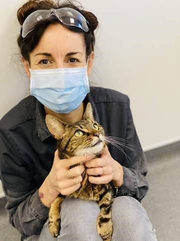 Southfields' head of neurology carries out emergency brain op after cat's fox bite
