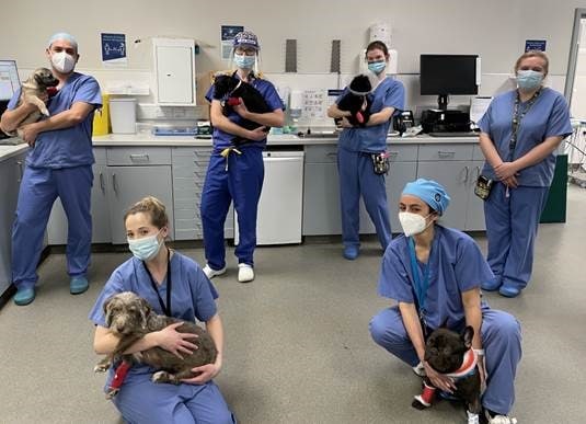 Willows cardiology teams claims UK first with five heart ops in a day