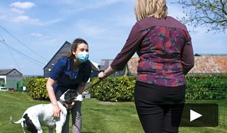 video grad vet showcase