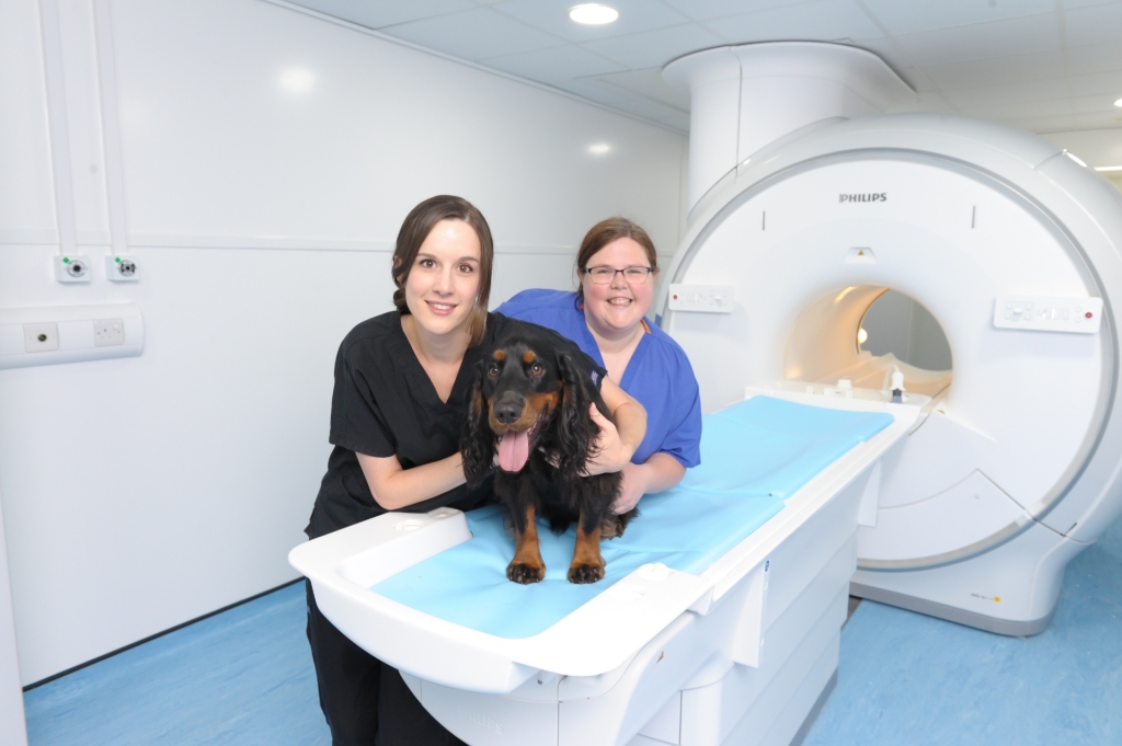 Cave Veterinary Specialists Adds Fourth Neurology Diplomate To Expert Team