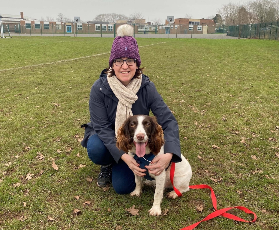 Springer Spaniel Billy Back On His Feet After Reconstructive Surgery On Shattered Leg At Somerset Vet Hospital