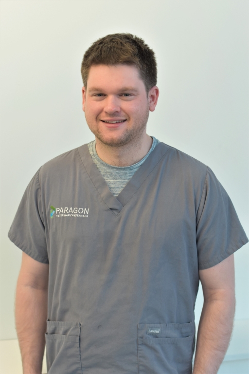 Top Appointment Boosts Anaesthesia Team At Paragon Veterinary Referrals